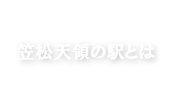 笠松天領の駅とは