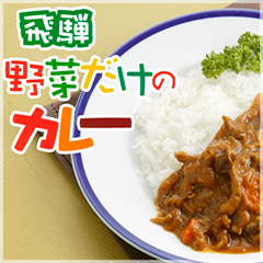 飛騨 野菜だけカレー