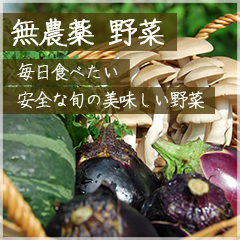 無農薬 野菜