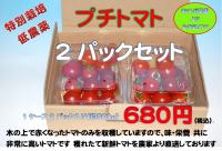 岐阜県産　プチトマト　2パックセット