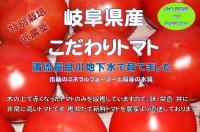 岐阜県産　プチトマト　2パックセット