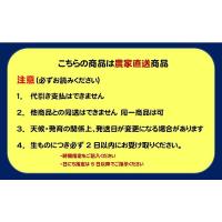 特別栽培 百福農法で育てた 岐阜の富有柿 3Lサイズ1段箱 鮮度抜群!柿の王様