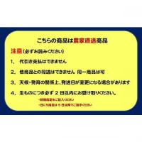 百福の富有柿5Lサイズ2段箱