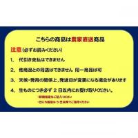 特別栽培 百福農法で育てた 岐阜の富有柿 2Lサイズ1段箱 鮮度抜群!柿の王様